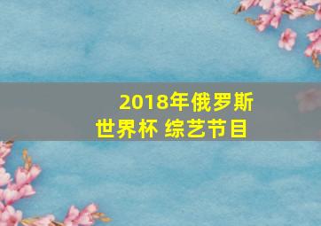 2018年俄罗斯世界杯 综艺节目